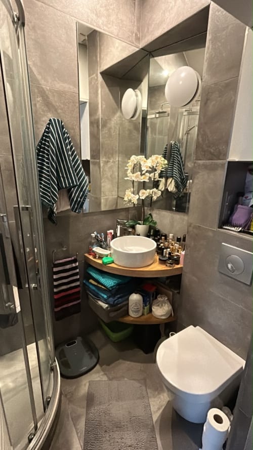 Modern bathroom in Paris studio with round sink, striped towels, orchids, and organized storage shelves