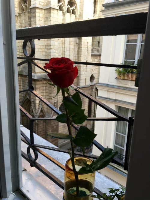 Red rose in glass vase on Parisian balcony overlooking historic architecture at Cocoon Gallery Paris boutique hotel