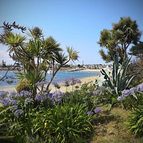 Coastal beach view with palm trees and purple flowers overlooking sandy beach and seaside town