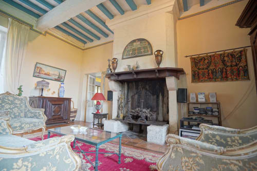 Élégant salon avec cheminée au gîte Le Domaine les Olivoux à Pomport, France