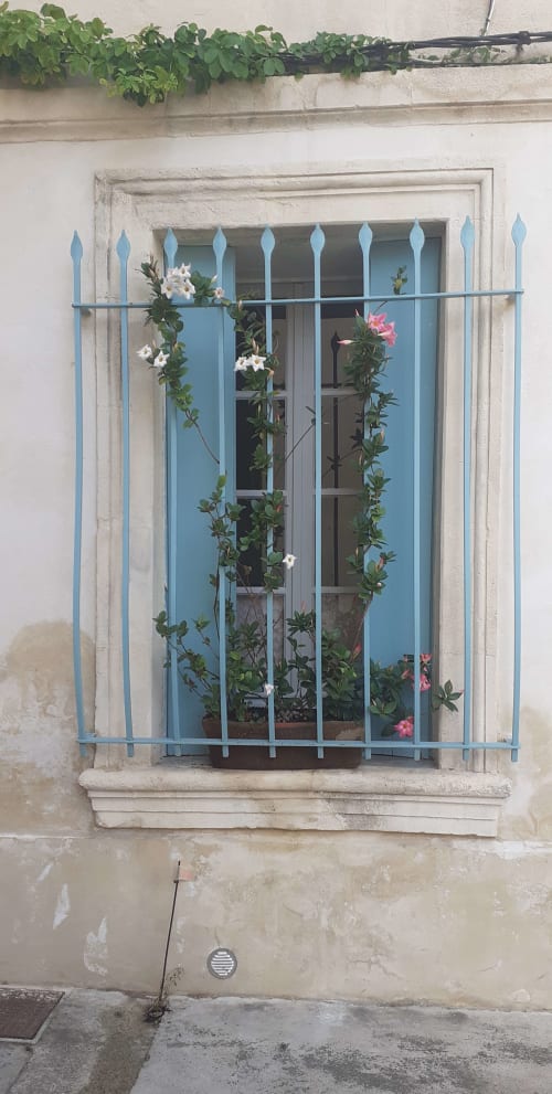 Blue shuttered window with flowering vines at Au Coin de la Roquette cottage, Arles