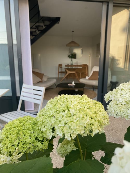 Hortensias verts sur la terrasse avec vue sur le jardin et intérieur cottage moderne à La Cour Tellier, Rilly-la-Montagne