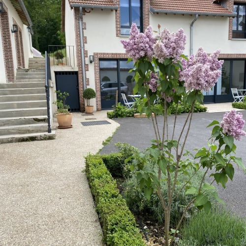 Lilas en fleur dans la cour du gîte La Cour Tellier à Rilly-la-Montagne, France