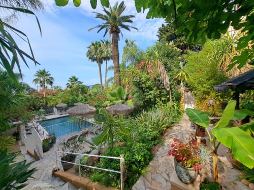 Jardin tropical avec palmiers, allée en pierre et piscine à la Résidence Vélès Plage à Cannes