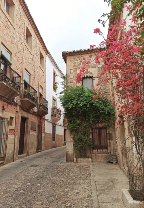 Patio medieval de piedra en Cáceres con flores rosas en flor en el hotel apartamento Mirador Medieval