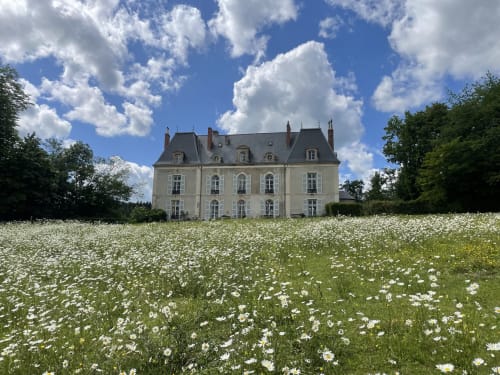 Château de Vaux Morvan, gîte de charme à Étang sur Arroux, entouré de marguerites blanches en fleurs
