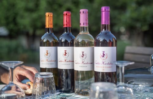 Quatre bouteilles de vin Hortense alignées sur une table extérieure à La Cour d'Hortense, chambres d'hôtes à Sailly-Flibeaucourt
