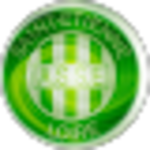 Logo circulaire vert à motifs rayés d'Au Richebourg Nogent, maison d'hôtes à Nogent-sur-Seine