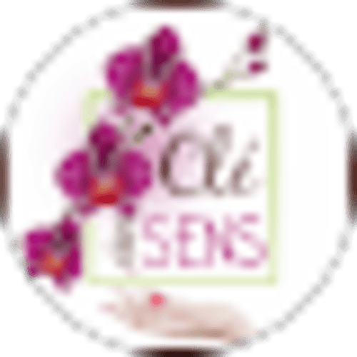 Orchidées magenta éclatantes avec cadre vert à l'Au Richebourg Nogent, gîte à Nogent-sur-Seine