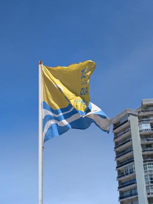 Bandeira amarela e azul com design de baleia hasteada em Villas Eden, alojamento rural em Fão, Portugal