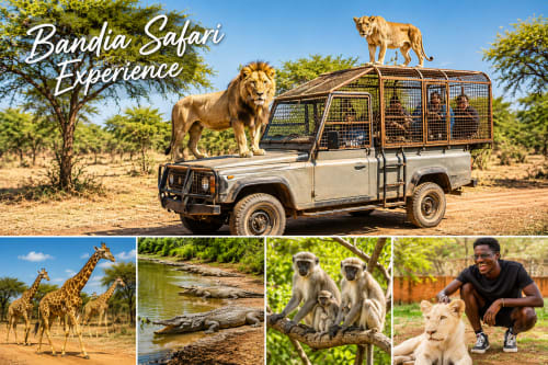 Expérience safari Bandia : lion et lionne sur véhicule safari avec girafe, crocodile, singes et rencontres animalières