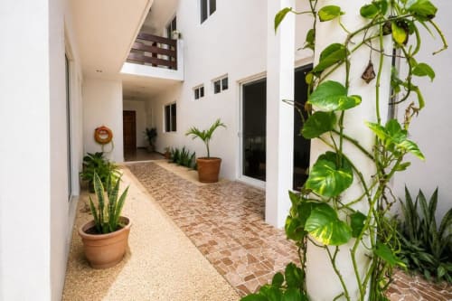 Luminoso pasillo del patio del Hotel Isla Mujeres Centro con plantas en macetas, azulejos de barro y paredes blancas