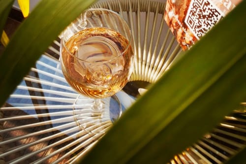 Golden wine glass at Sable & Pampas guesthouse in Carnon-Plage with tropical palm leaf decor