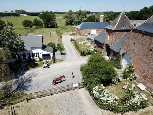 Vue aérienne du gîte Domaine de la Ferme de Ribeaufontaine avec cheval et jardins à Dorendt, France