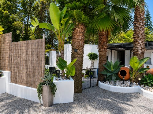 Modern apartment courtyard with palm trees, white planters, gravel pathway, and wooden privacy fence at Apartamentos