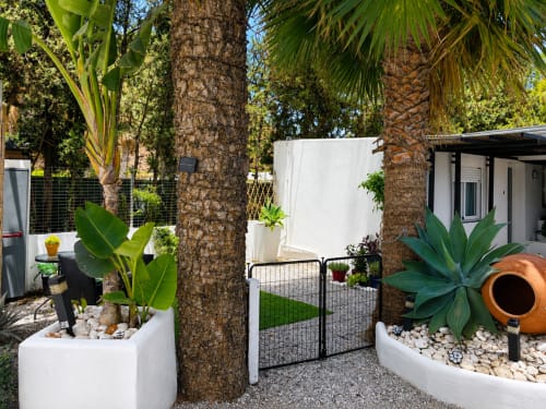 Tropical garden patio at Apartamentos Axarent with palm trees, white planters, black gate, and modern apartment building in