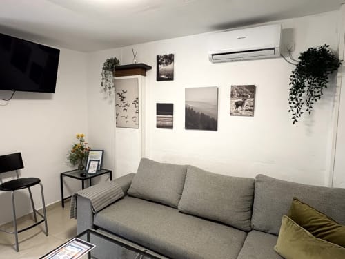 Modern living room with gray sofa, wall art, TV, AC unit, and potted plants in Almayate beach apartment