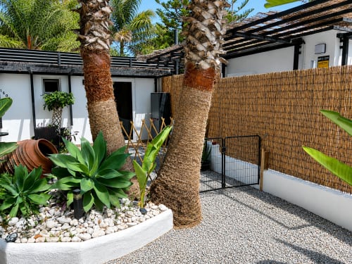 Tropical courtyard at Apartamentos Turísticos Axarent with palm trees, white walls, wooden pergola, and gravel patio in