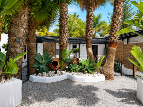 Tropical courtyard at Apartamentos Axarent with palm trees, white planters, terracotta pot, and modern white buildings in