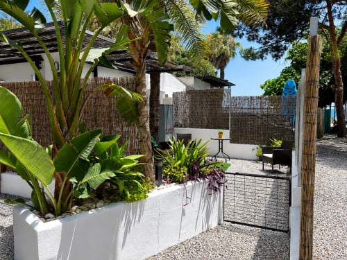 Tropical patio at Apartamentos Axarent Almayate Alto with white planters, palm trees, and reed fencing