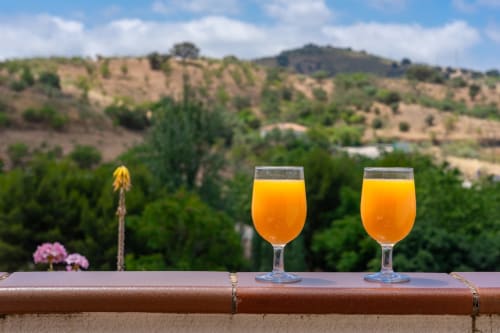 Two glasses of orange juice on a balcony overlooking green hills and valleys in Colmenar, Spain at Hotel Balcón De Los Montés