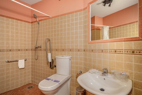 Salle de bain accessible à l'Hôtel Balcón De Los Montés avec accès pour fauteuil roulant, douche, toilettes et lavabo à Colmenar