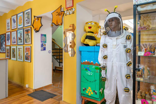 Couloir d'hôtel à thème apicole à Colmenar aux murs jaunes, avec exposition de costume d'apiculteur et décoration murale inspirée du miel