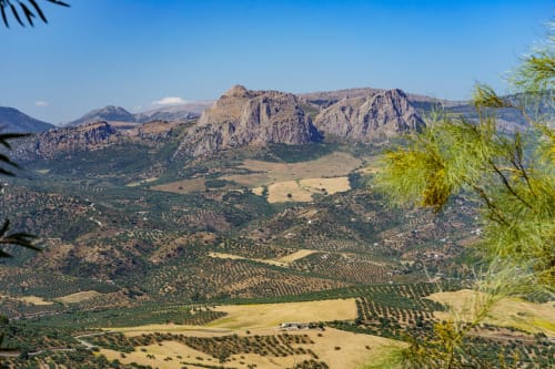 Vue panoramique de la vallée montagneuse depuis la suite de l'Hôtel Balcón De Los Montés à Colmenar avec oliveraies et pics dramatiques