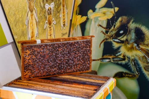 Cadre de ruche exposé à l'Hôtel Balcón De Los Montés avec illustration d'abeille et vue sur les montagnes à Colmenar