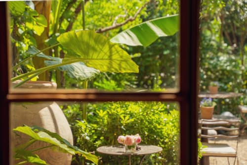 Vue sur le jardin par la fenêtre aux Jardins de Baracane, B&B à Avignon, avec son feuillage luxuriant et ses fleurs