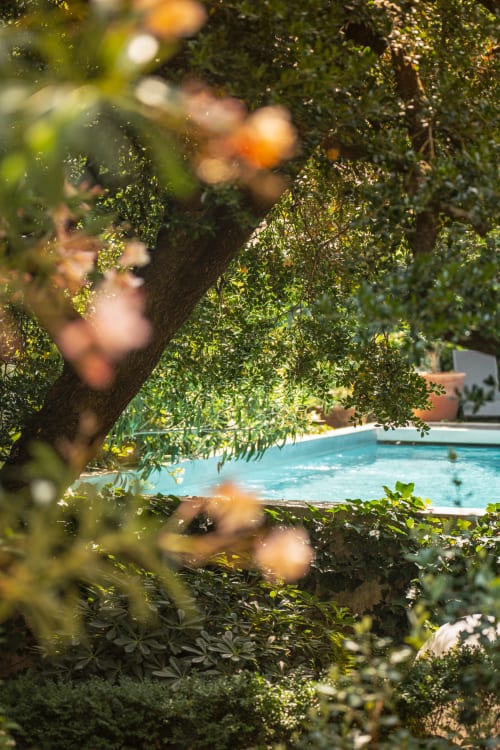 Jardin luxuriant encadrant une piscine turquoise aux Jardins de Baracane, une maison d'hôtes boutique à Avignon