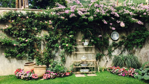 Lussureggiante giardino del Relais Palazzo Cacace a Meta di Sorrento, con fiori rosa, muri ricopiti d'edera e atmosfera vintage