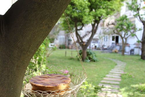 Cesto sospeso in filo con pane in rigoglioso giardino al Relais Palazzo Cacace, Meta di Sorrento