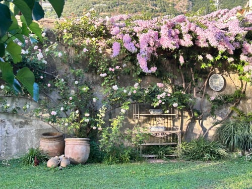 Lussureggiante giardino del Relais Palazzo Cacace a Meta di Sorrento, con fiori viola e rosa in fiore, vasi di terracotta e charme vintage