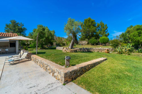 Patio de jardín mediterráneo en Massa Properties en Artà con muros de piedra, árboles centenarios y tumbonas
