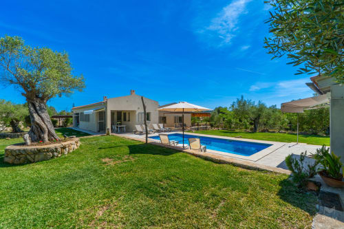 Villa de lujo en Artà con piscina, terraza, olivos y césped bien cuidado bajo un cielo azul despejado