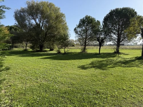 Prairie verdoyante avec arbres matures à La Bastide des Princes, Caderousse, France