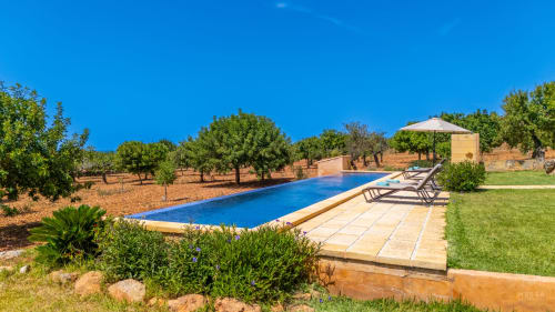 Piscina de resort azul con tumbonas y sombrilla rodeada de olivares en Artà, España