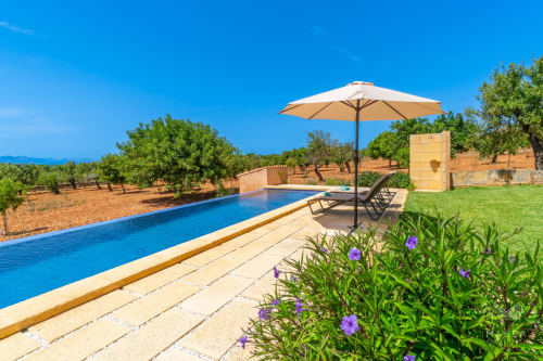 Lujosa piscina con sombrilla y tumbonas con vistas a olivos en Artà, Mallorca