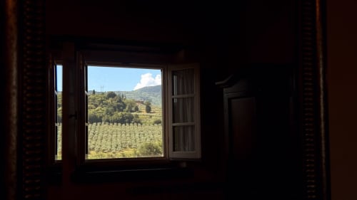 View from Borgo di Erboli apartment window overlooking Tuscan vineyard hills near Cavriglia, Italy
