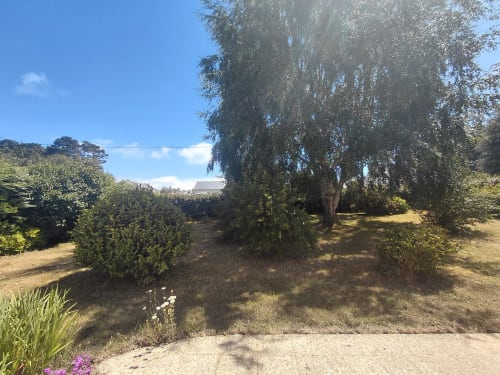 Vue ensoleillée du jardin de la maison d'hôtes Maison Lannivrec avec arbres matures et aménagement paysager verdoyant à Locmaria, Belle Île en Mer