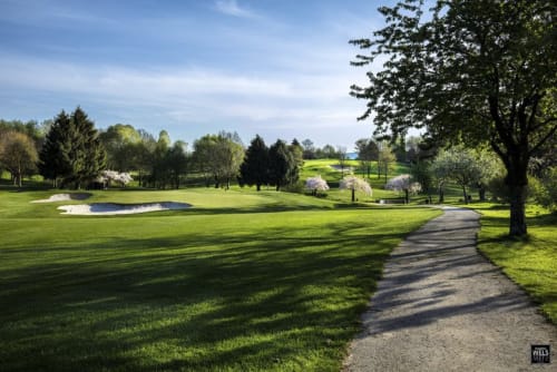 Manicured garden path at Villa Bianca B&B in Mortroux Dalhem with blooming trees, pond, and lush greenery