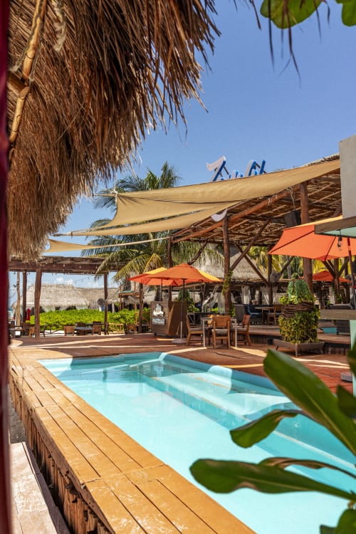 Oasis tropical junto a la piscina del Hotel Isla Mujeres Centro con alberca turquesa, sombrillas de palma y parasoles naranjas