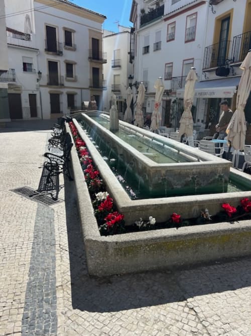 Canal de piedra con flores rojas en la plaza de Ojén, edificios blancos rodeando la tradicional plaza española