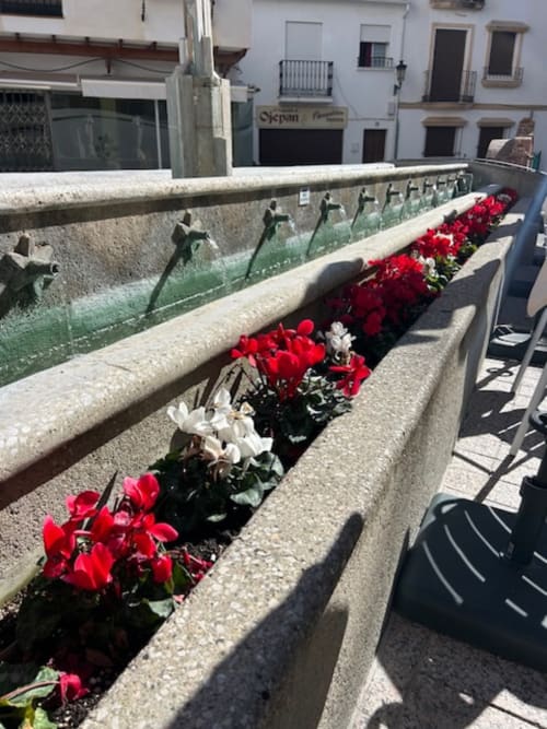 Flores rojas y blancas en macetas de piedra en la terraza de Marbella Views en Ojén, España, con arquitectura mediterránea de fondo