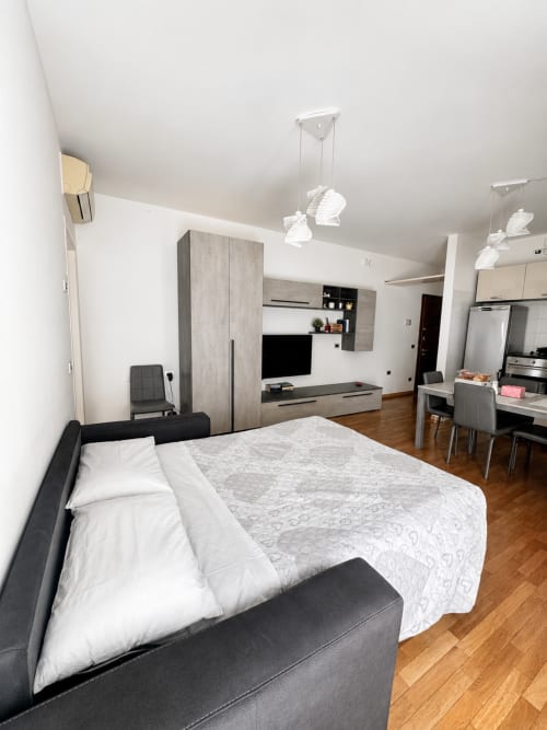 Moderno monolocale a Bicocca Flat Milano con letto, angolo cottura, TV e zona pranzo su pavimento in legno
