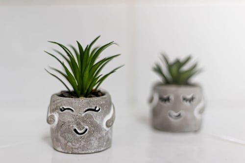 Dois vasos de cerâmica com rostos sorridentes e suculentas verdes no apartamento Happy Nest AL em Portimão