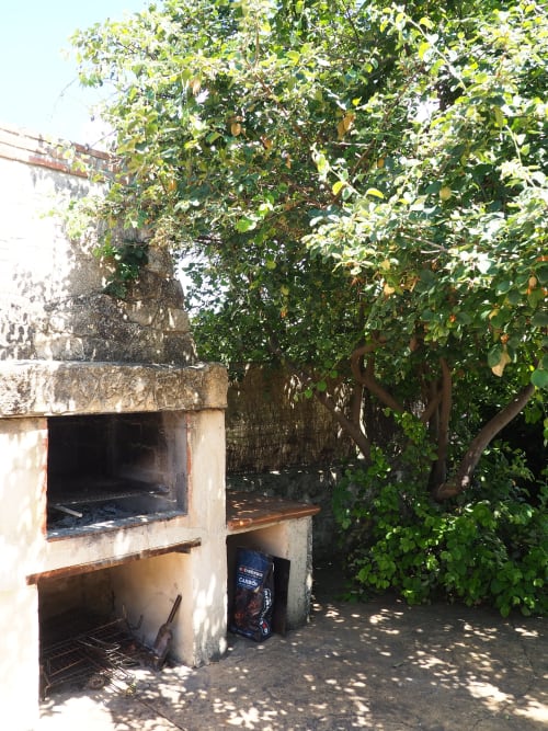 Outdoor brick oven with vine-covered pergola at Senda del Duratón Apartments, Sebúlcor