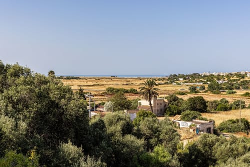 Vista pitoresca da zona rural perto do Happy Nest AL em Pêra com oliveiras, palmeira e horizonte do mar