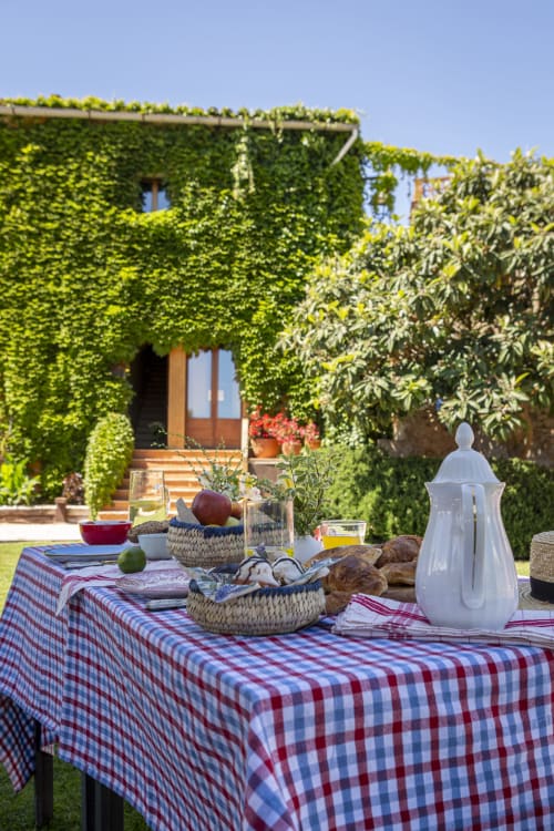 Comida campestre al aire libre con mantel a cuadros rojo y azul, pan fresco y frutas en cestas, jarra blanca y hiedra